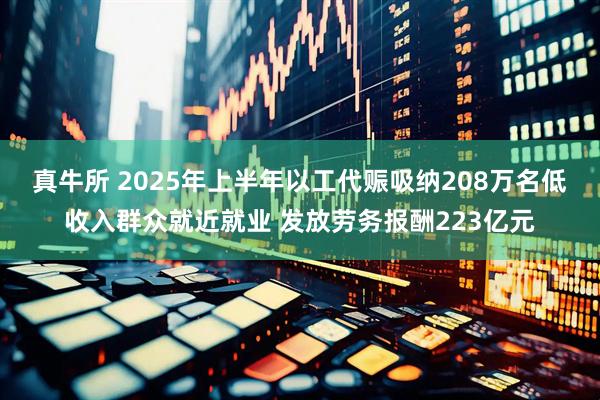 真牛所 2025年上半年以工代赈吸纳208万名低收入群众就近就业 发放劳务报酬223亿元