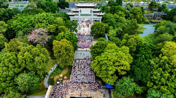 尚红网 800名市民漫步金秋湿地，2025海珠湿地徒步大会举行